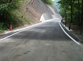 道路整備工事(H21-山梨県発注)